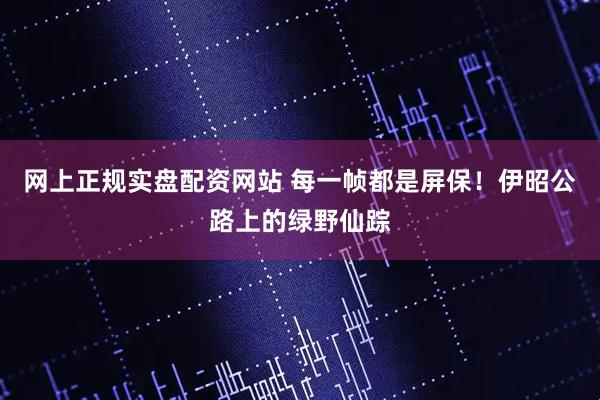 网上正规实盘配资网站 每一帧都是屏保！伊昭公路上的绿野仙踪