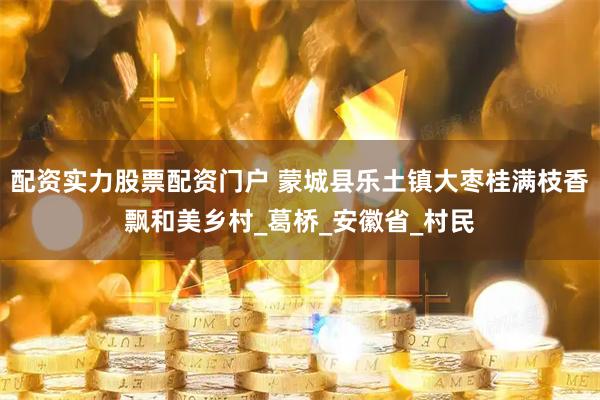 配资实力股票配资门户 蒙城县乐土镇大枣桂满枝香飘和美乡村_葛桥_安徽省_村民