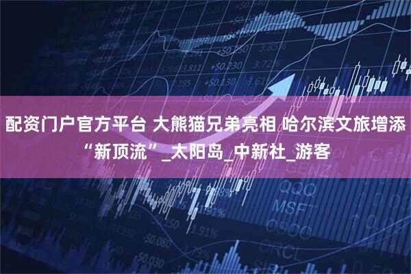 配资门户官方平台 大熊猫兄弟亮相 哈尔滨文旅增添“新顶流”_太阳岛_中新社_游客