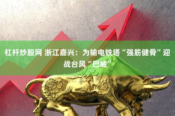 杠杆炒股网 浙江嘉兴：为输电铁塔“强筋健骨”迎战台风“巴威”